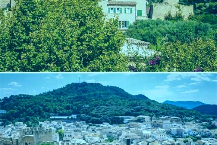 Violet, 28 — Escort in Capdepera, Spain