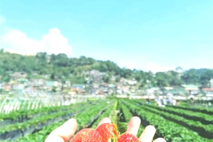 Violet, 28 — Escort in Fraccionamiento la Trinidad, Mexico