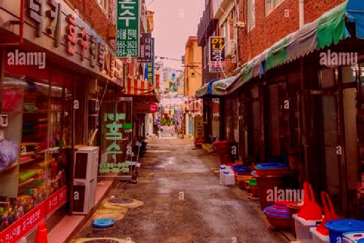 Violet, 28 — Escort in Gunsan, South Korea