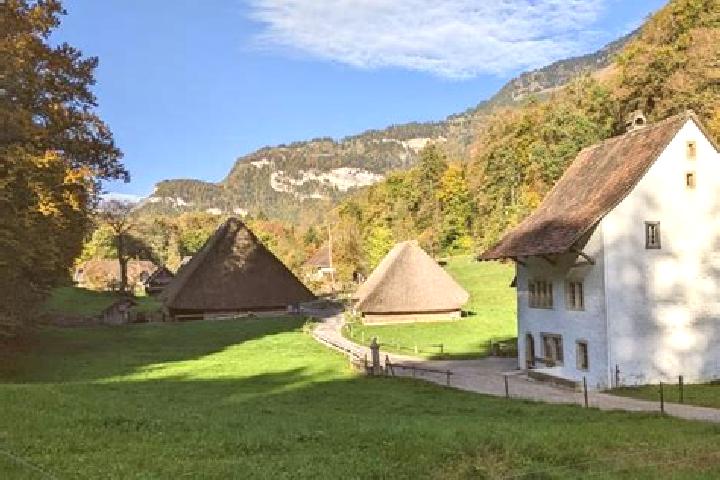 Violet, 28 — Escort in Hofstetten, Switzerland