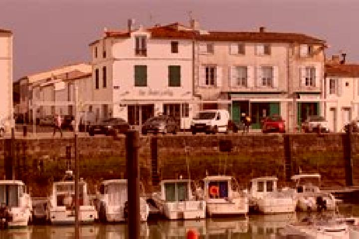 Violet, 28 — Escort in La Flotte, France