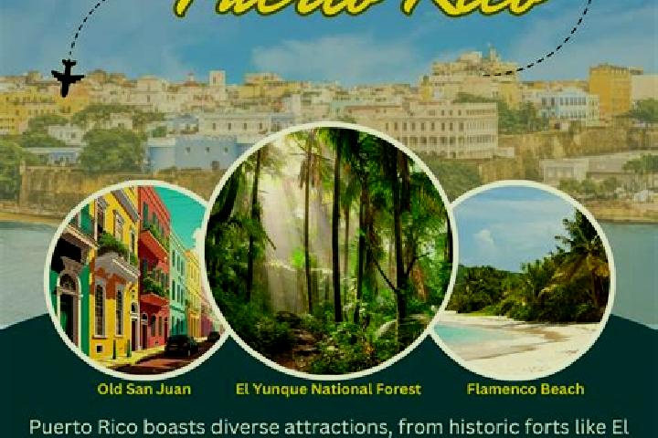 Violet, 28 — Escort in Las Ollas, Puerto Rico