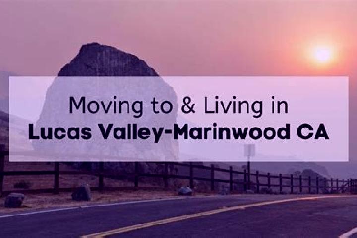 Violet, 28 — Escort in Lucas Valley-Marinwood, United States