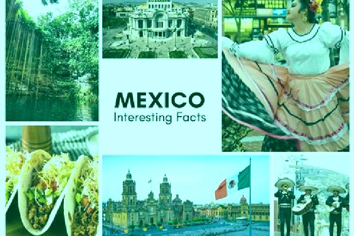 Violet, 28 — Escort in Muhuatl, Mexico