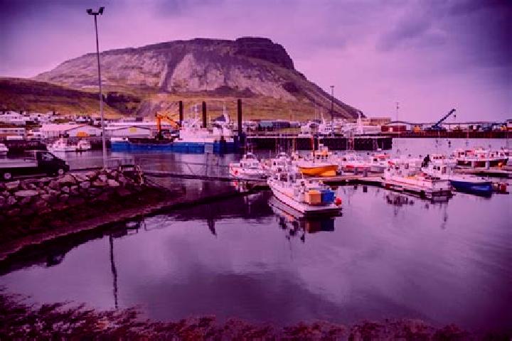Violet, 28 — Escort in Olafsvik, Iceland