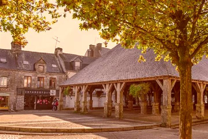 Violet, 28 — Escort in Questembert, France