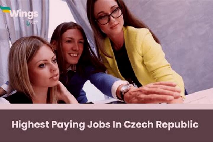 Violet, 28 — Escort in Rozsochy, Czech Republic