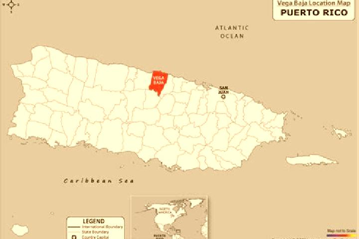 Violet, 28 — Escort in Toa Baja, Puerto Rico