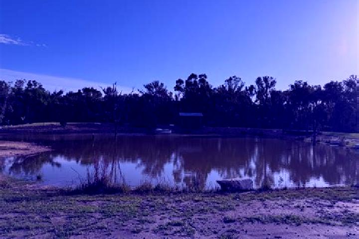 Violet, 29 — Escort in Bidwill, Australia