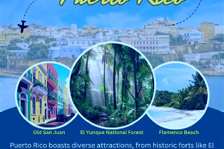 Violet, 29 — Escort in Candelaria Arenas, Puerto Rico