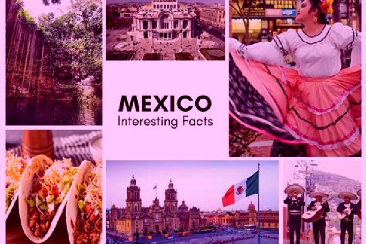 Violet, 29 — Escort in Chichilpa, Mexico