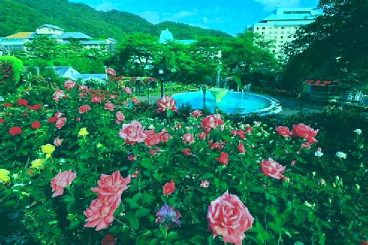Violet, 29 — Escort in Hanamaki, Japan