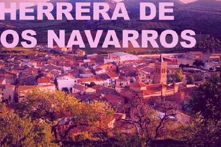 Violet, 29 — Escort in Herrera de los Navarros, Spain
