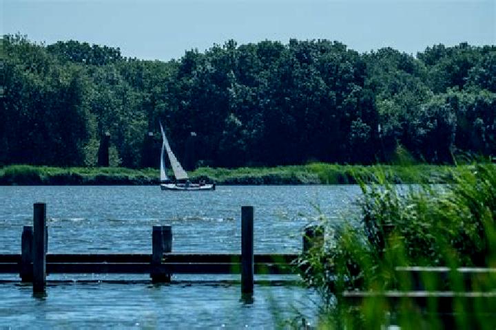 Violet, 29 — Escort in Krimpen aan den IJssel, Netherlands