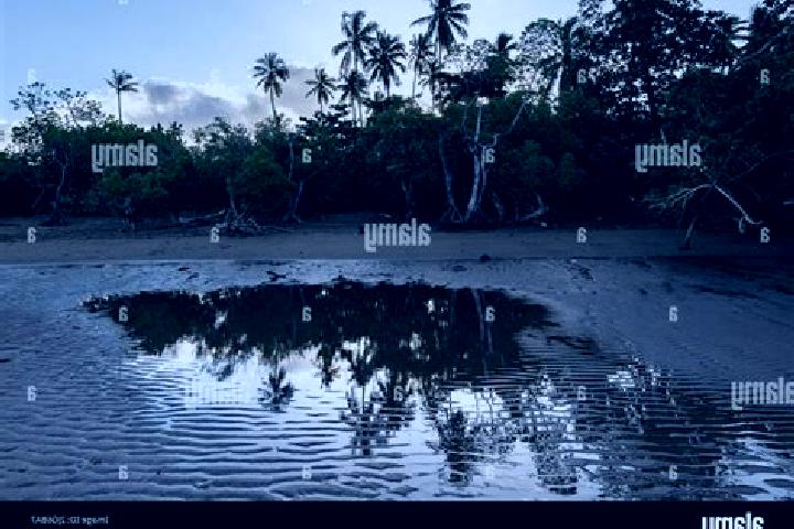 Violet, 29 — Escort in Poroani, Mayotte