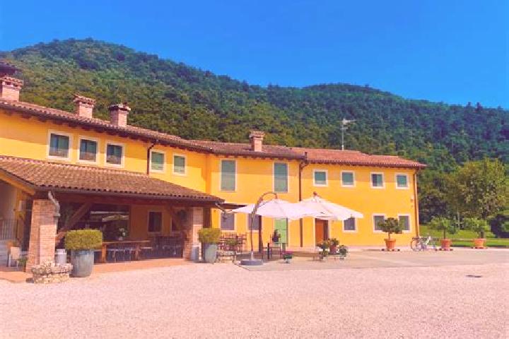 Violet, 29 — Escort in Ripalta Arpina, Italy