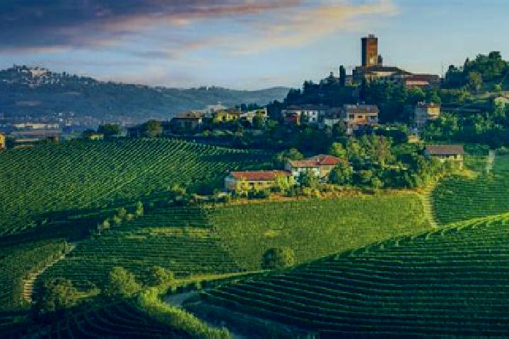 Violet, 29 — Escort in San Mango Piemonte, Italy