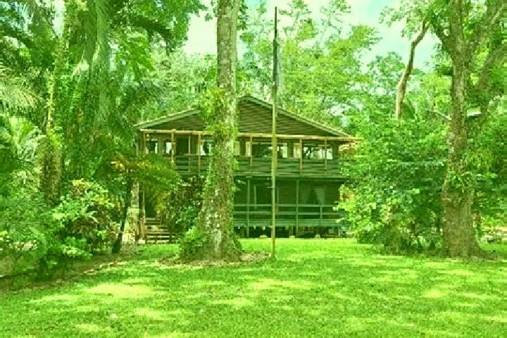 Violet, 29 — Escort in Sand Hill, Belize