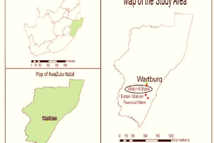 Violet, 29 — Escort in Wartburg, South Africa