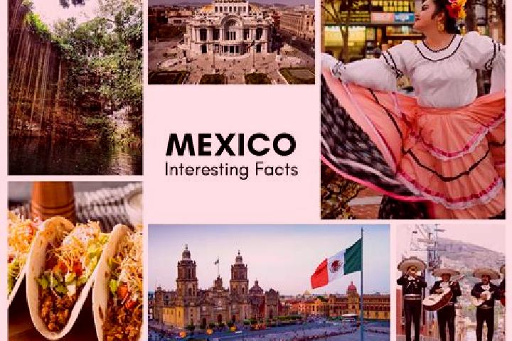 Violet, 29 — Escort in Zipiajo, Mexico