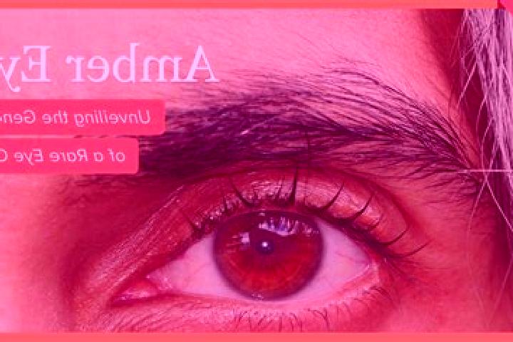 Violet, 30, a black amber-eyed caribbean companion based in Maulburg. Offering OWO, 69, Deep French Kissing, Overnight. Available for incall and outcall, ove...