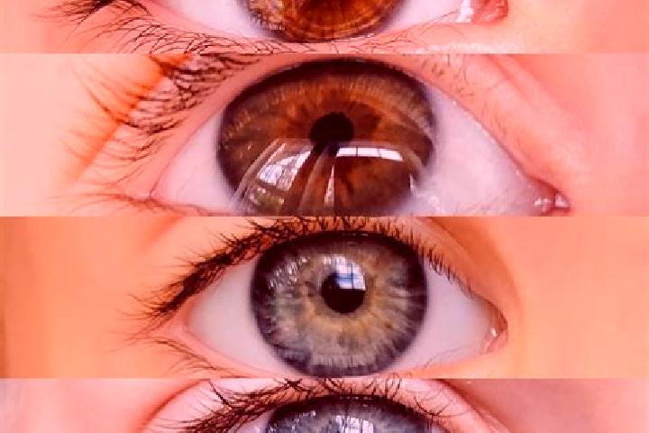 Violet, 30, a chestnut hazel-eyed mixed companion based in Lang Lang. Offering Duos, Domination, GFE, A-Level. Available for incall and outcall, day and even...