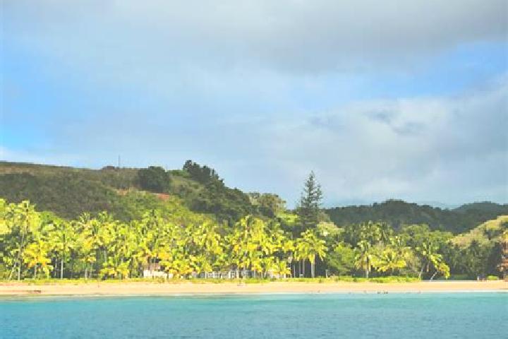 Violet, 30 — Escort in Avarua, Cook Islands