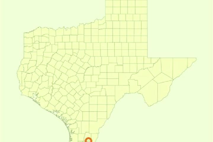 Violet, 30 — Escort in Garza-Salinas II, United States