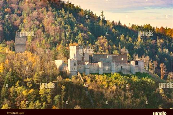 Violet, 30 — Escort in Kirchschlag in der Buckligen Welt, Austria