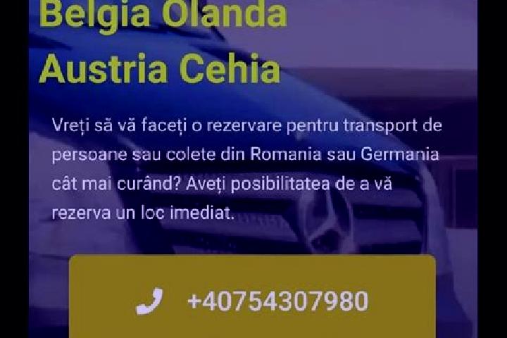 Violet, 30 — Escort in Mentii din Dos, Romania