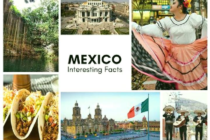 Violet, 30 — Escort in Mexcalcingo, Mexico