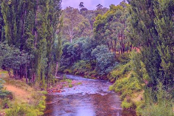 Violet, 30 — Escort in Mountain River, Australia