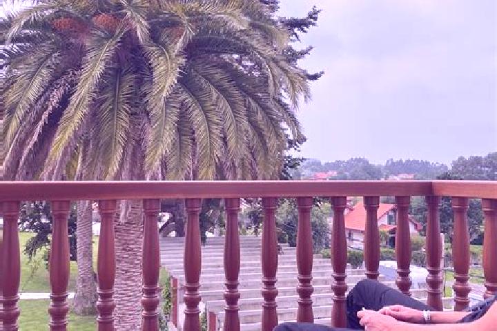 Violet, 30 — Escort in O Rosal, Spain