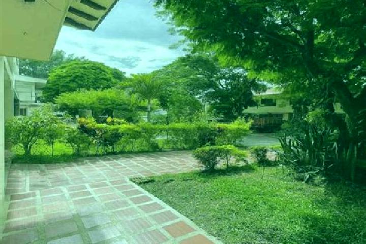 Violet, 30 — Escort in Pajasco Limonar, Mexico