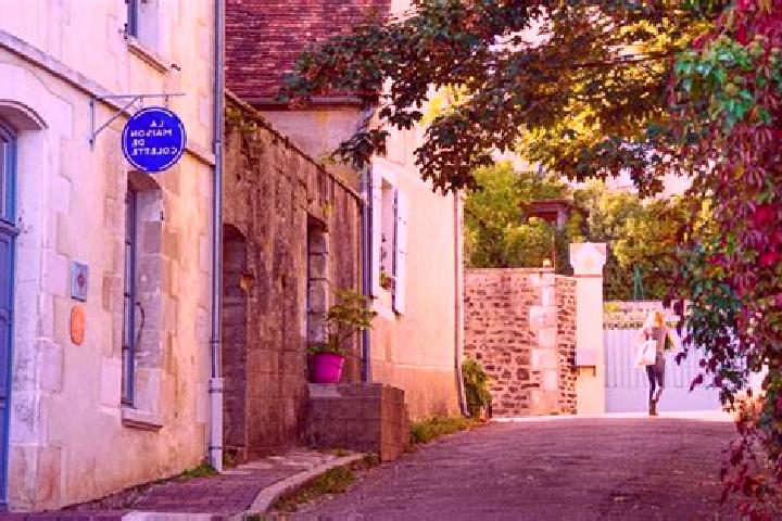 Violet, 30 — Escort in Saint-Sauveur-en-Puisaye, France