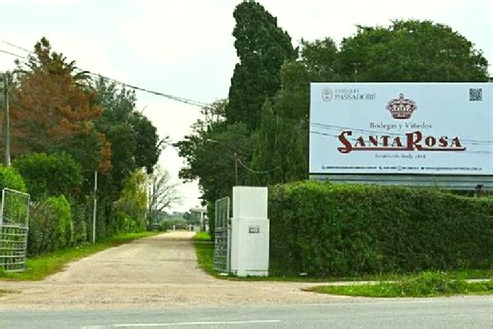 Violet, 30 — Escort in Santa Rosa, Uruguay