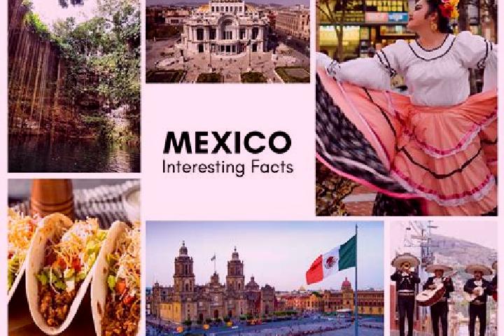 Violet, 30 — Escort in Tahmuy, Mexico