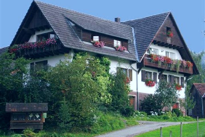 Violet, 31 — Escort in Berghaupten, Germany