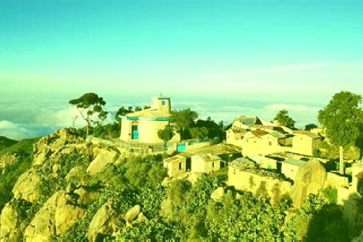 Violet, 31 — Escort in Debre Sina, Ethiopia