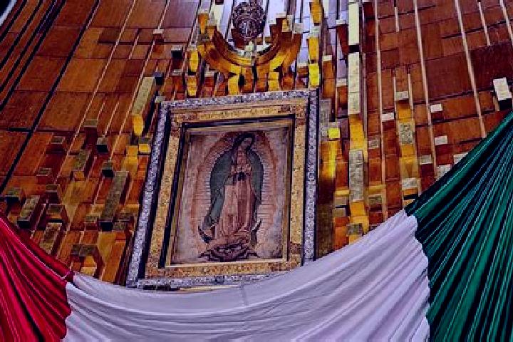 Violet, 31 — Escort in Guadalupe Primero, Mexico