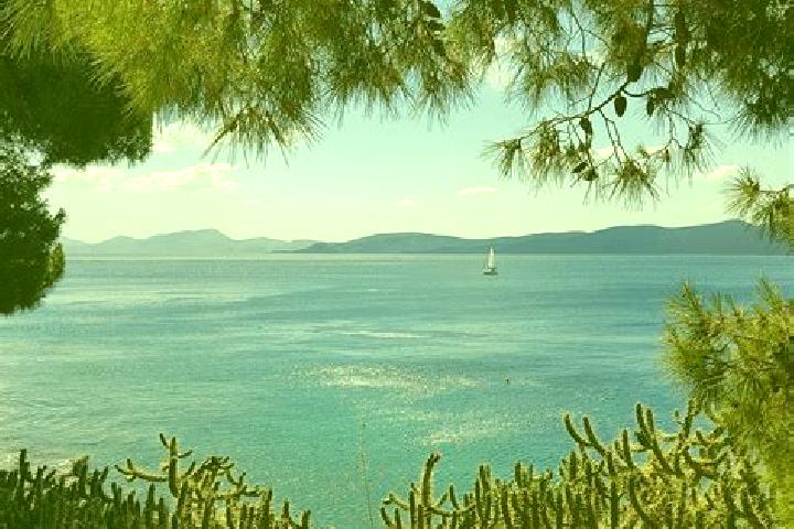 Violet, 31 — Escort in Istiaia, Greece