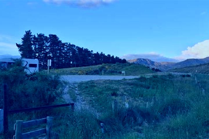 Violet, 31 — Escort in Otago, Australia