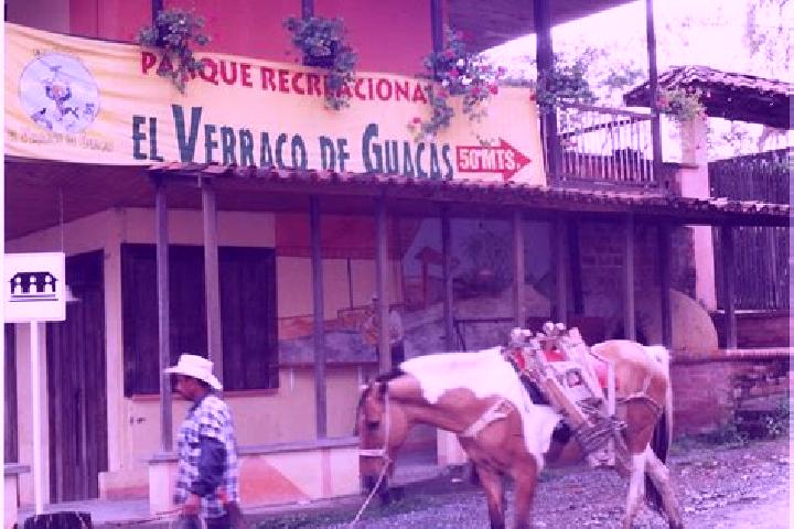 Violet, 31 — Escort in Santa Cruz de Guacas, Venezuela