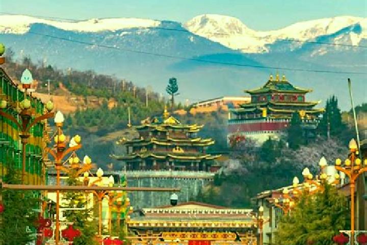 Violet, 31 — Escort in Shangri-La, China