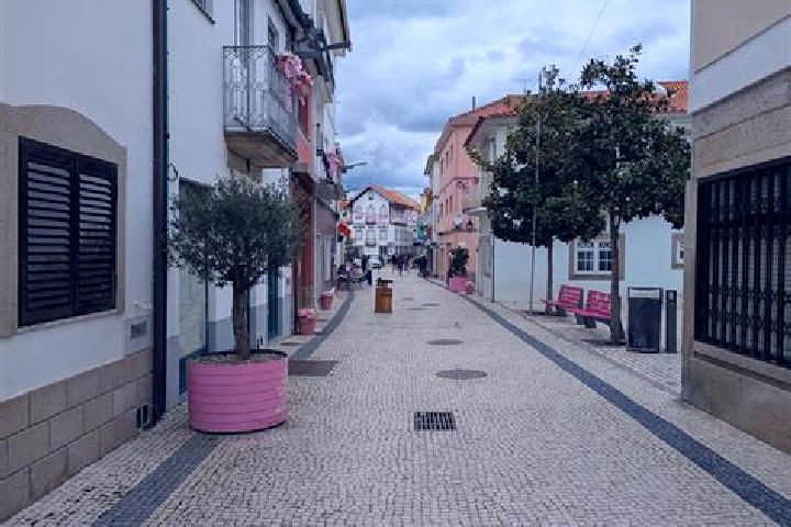 Violet, 31 — Escort in Vila, Portugal