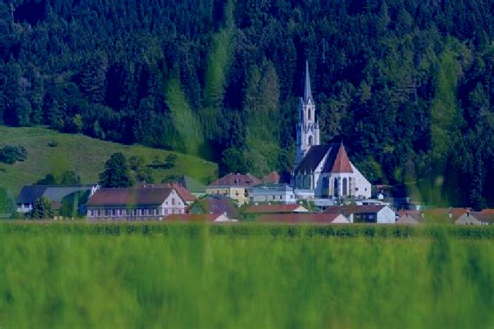 Violet, 31 — Escort in Weisskirchen in Steiermark, Austria