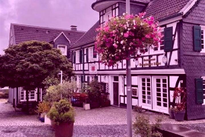 Violet, 31 — Escort in Wermelskirchen, Germany