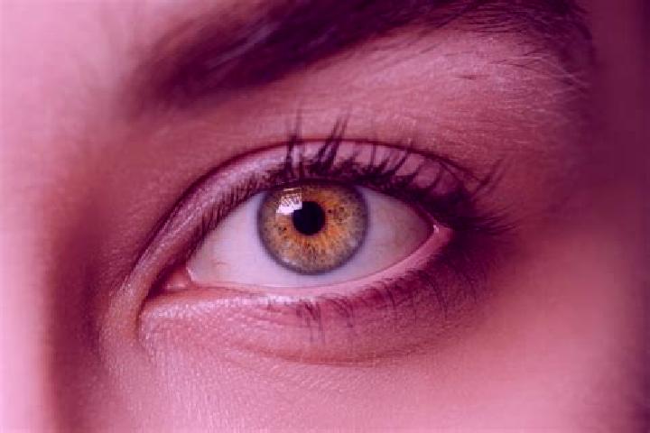 Violet, 32, a black hazel-eyed mixed companion based in Pryor Creek. Offering Erotic Massage, Fetish, OWO. Available for incall and outcall, overnight bookin...