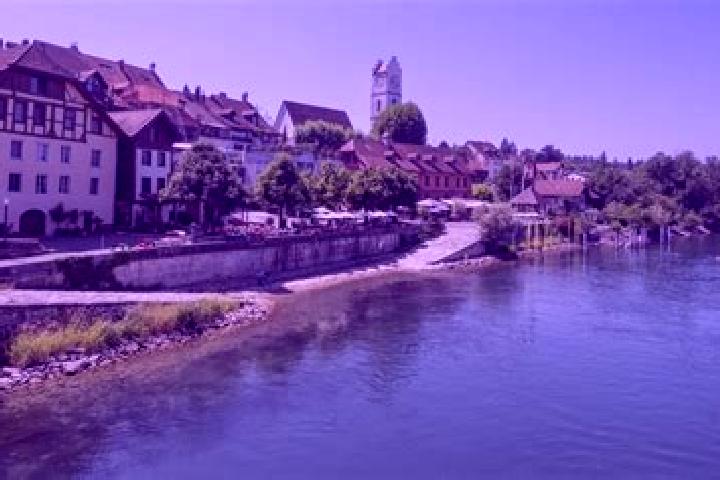 Violet, 32 — Escort in Buren an der Aare, Switzerland
