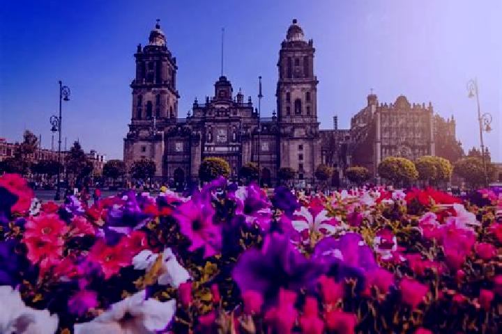 Violet, 32 — Escort in Ciudad Cuauhtemoc, Mexico